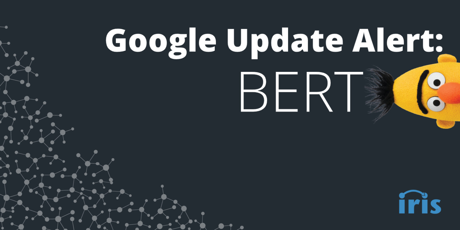 Google BERT Update - What You Need To Know – Iris Intelligence