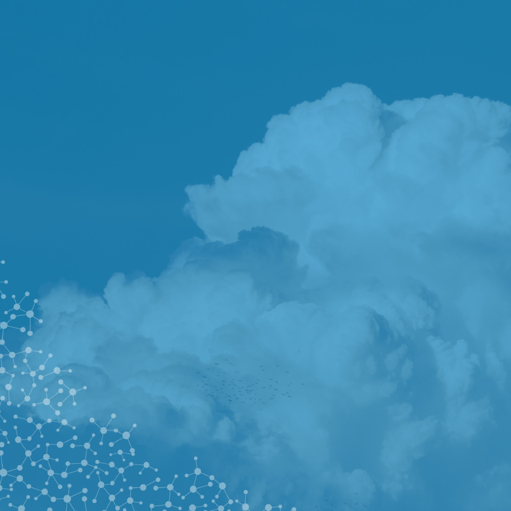 Selling Expensive Couches With Clouds Iris Business Intelligence Inc.