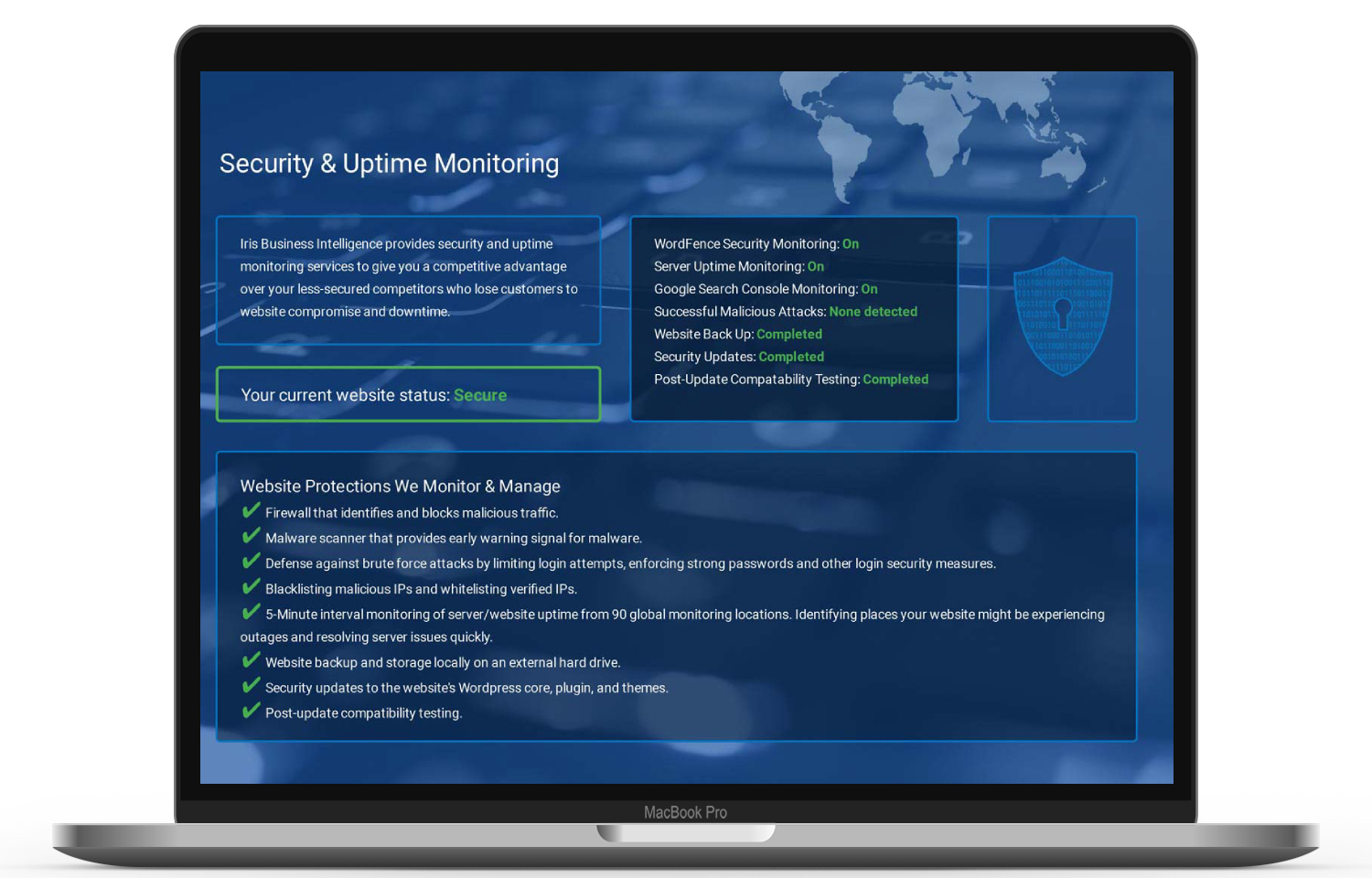 Website Security Maintenance